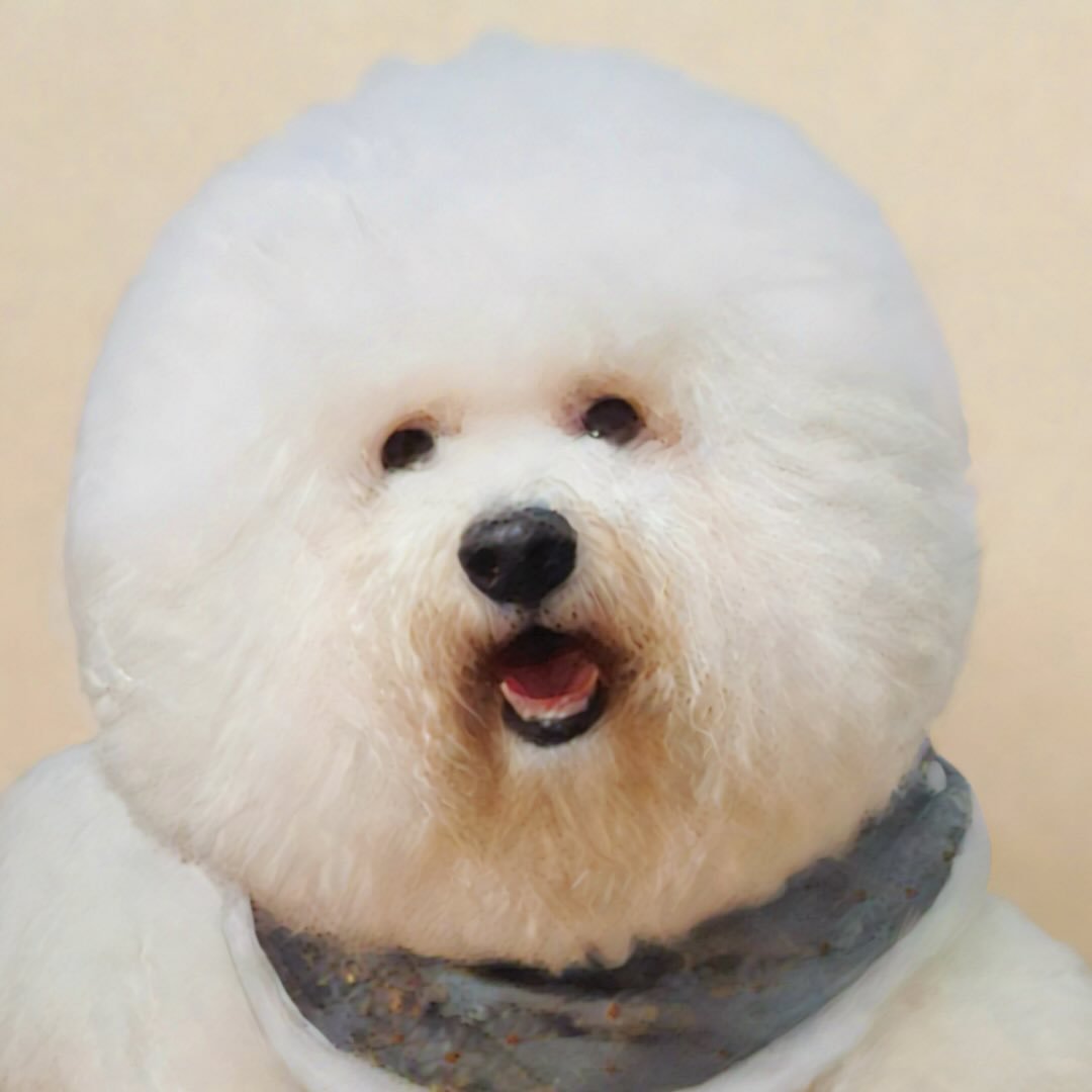 𝓒𝓱𝓲𝓪𝓸 頭像